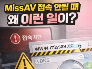 MissAV 접속 안될 때 다들 이렇게 한다고? (주의)